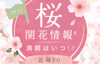 2024年桜開花はいつ!?北海道各地の開花予想をお届け♪アイキャッチ画像